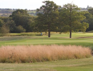 11th green