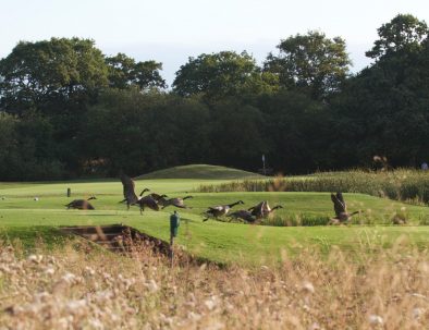 12th tee with visitors