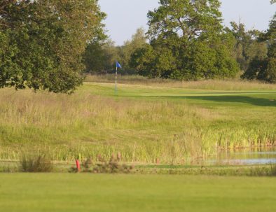 13th green with oyster catcher