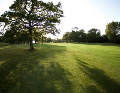 3rd tee no 2